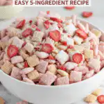 strawberry shortcake puppy chow