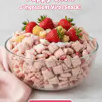 strawberry shortcake puppy chow